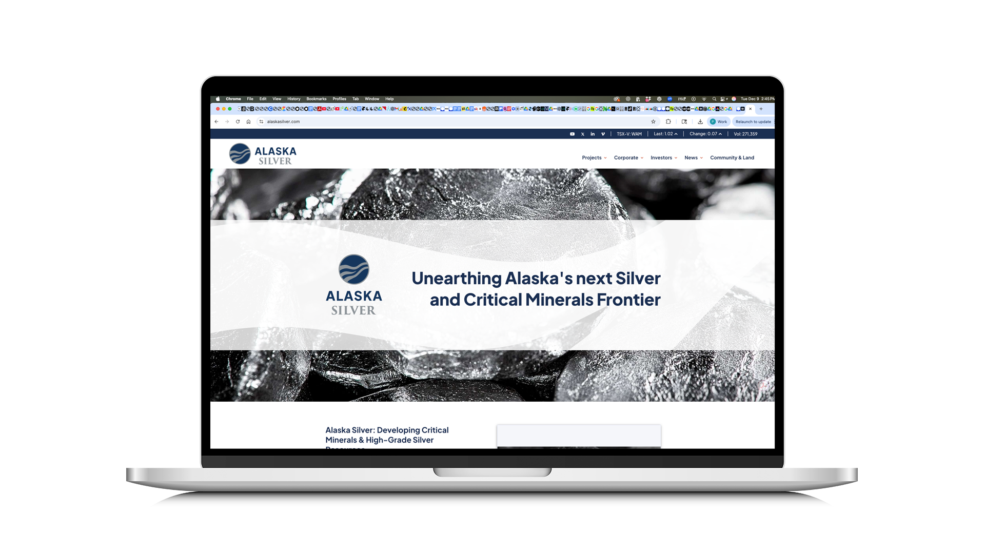 Alaska Silver